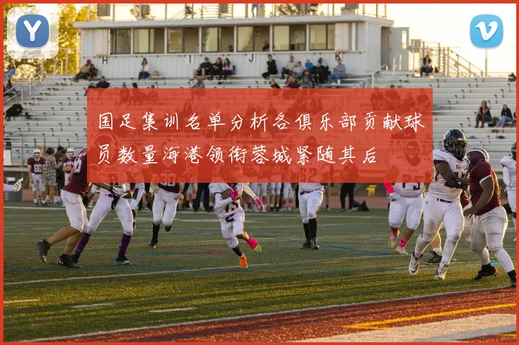 国足集训名单分析各俱乐部贡献球员数量海港领衔蓉城紧随其后