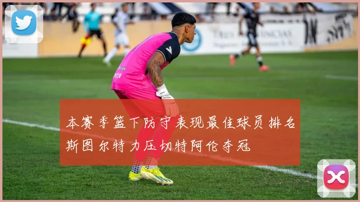 本赛季篮下防守表现最佳球员排名斯图尔特力压切特阿伦夺冠